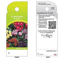 TAG FLOWERING PLANT