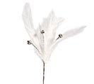FLORAL WHITE FEATHER