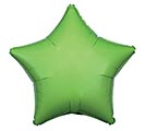 Customers also bought 19&quot; KIWI GREEN STAR SHAPE product image 