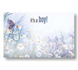 ENCL CARD IT'S A BOY DAISIES AND BUTTER