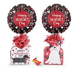 PAWPRINTS HVD GIFTBOX