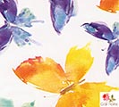 WATERCOLOR BUTTERFLY CELLOPHANE SHEETS