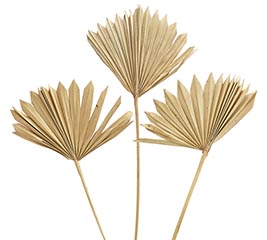 SMALL SUN 17&quot; PALM NATURAL PK 5