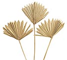 Related Product Image for SMALL SUN 17&quot; PALM NATURAL PK 5 