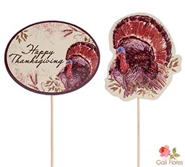 PICK AUTUMN PLUME ASTD