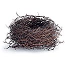 Related Product Image for FLORAL BIRD NEST NATURAL ANGEL VINE 