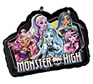 Customers also bought 28&quot;PKG MONSTER HIGH SHAPE product image 