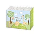 SMALL WELCOME BABY BASKET BOX