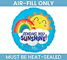 Customers also bought 9&quot; FLAT TOY SENDING YOU SUNSHINE ROUND product image 