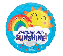 17&quot; PKG SENDING YOU SUNSHINE ROUND