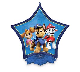 22" PKG CHA PAW PATROL FRILLZ