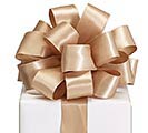 #9 CHAMPAGNE SINGLE FACE SATIN WIRED