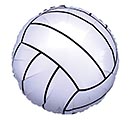 17&quot; PACKAGED VOLLEYBALL BALLOON