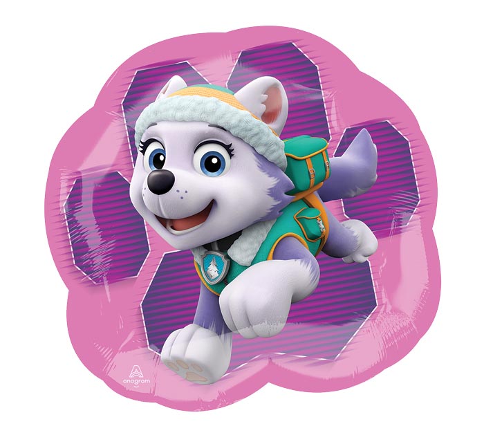 paw patrol characters images with names