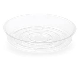 CLEAR 8" PLANT SAUCE