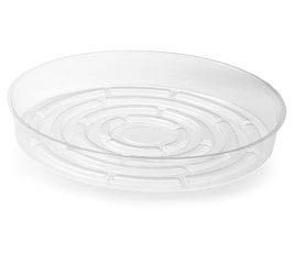 CLEAR 10&quot; PLANT SAUC