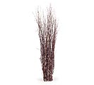 BIRCH BRANCHES NATURAL 3-4&#39;