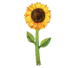 64&quot;PKG SUNFLOWER FRESH PICKS