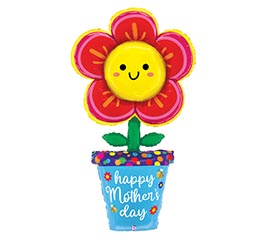 59"PKG HMD SPECIAL DELIVERY FLOWER POT