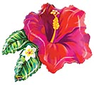 30&quot;PKG MIGHTY BRIGHT RED TROPICAL FLOWER