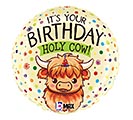 Customers also bought 18&quot; PKG HBD HIGHLAND HOLY COW BIRTHDAY product image 