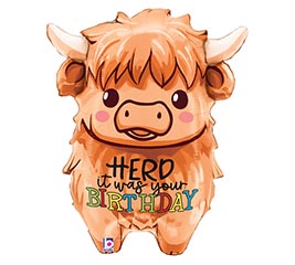 27&quot; PKG HBA HIGHLAND COW BIRTHDAY SHAPE