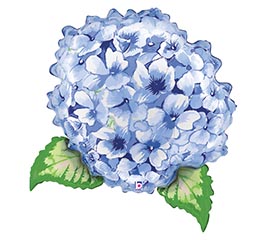 32" FLR HYDRANGEA SHAPE