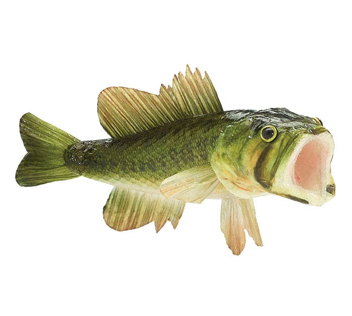 Floral Largemouth Bass Fish Decor