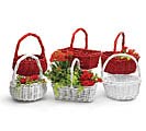 RED OR WHITE ASSORTED BASKET SET