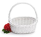 WHITE OVAL WILLOW BASKET CASE