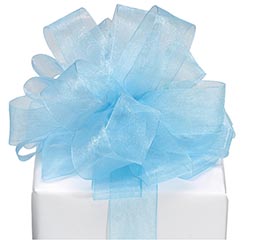 #5 LIGHT BLUE SHEER RIBBON