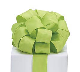 #9 LIME GREEN TAFFETA RIBBON