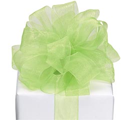 #5 CITRUS SHEER RIBBON