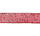 #3 SHEER RED GLITTER CORSAGE RIBBON