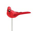 12&quot; RED CARDINAL PICK