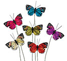 COLORFUL FEATHERS BUTTERFLY PICK SET