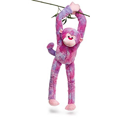 rainbow monkey plush