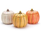 ASSORTED PUMPKINS WITH REMOVABLE LID