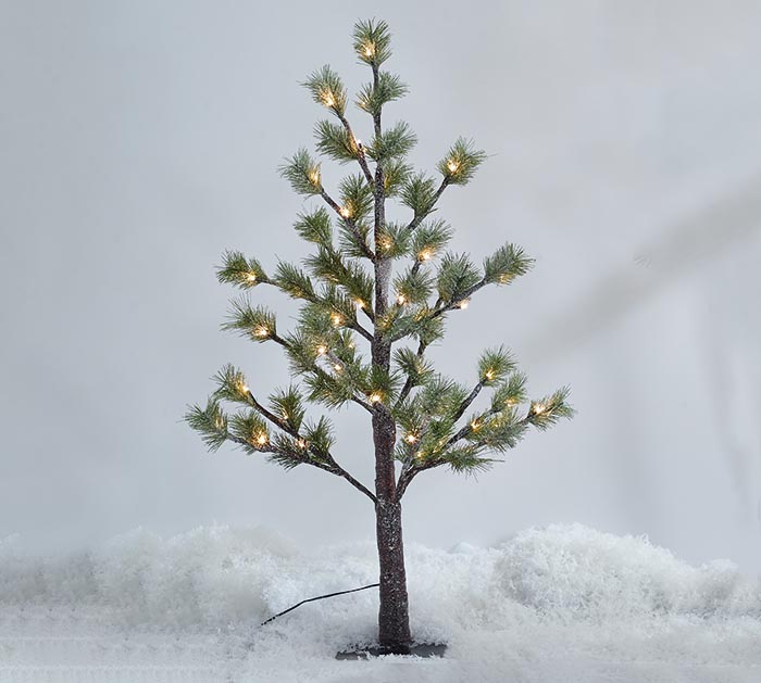 pine trees snow lights