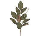 GREEN AND BROWN MAGNOLIA LEAF PICK