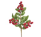RED BERRIES AND GREEN LEAVES PICK
