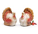 WARM FALL TONED TURKEY SALT  PEPPER SET