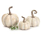 IVORY WITH GOLD WASH CURVED STEM PUMPKIN