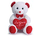 10&quot; WHITE BEAR HOLDING RED HEART