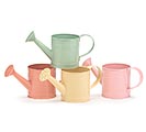 SPRING WATERING CAN PLANTER ASSORTMENT