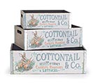 NESTED COTTONTAIL  CO EASTER CRATES