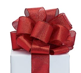 🎀 Wholesale Wired Ribbon | burton + BURTON