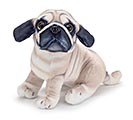 SITTING PUG PUPPY WITH BLACK MARKINGS