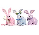 ASSORTED COLOR SITTING BUNNIES