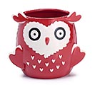 Customers also bought VALENTINE OWL SHAPE PLANTER product image 